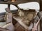 1998 Acura CL 3.0