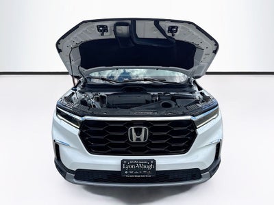 2024 Honda Pilot Touring
