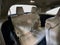 2014 Acura MDX 3.5L Technology Package SH-AWD